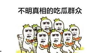 吃瓜群众娱乐大百科,揭秘娱乐圈幕后故事与热点事件